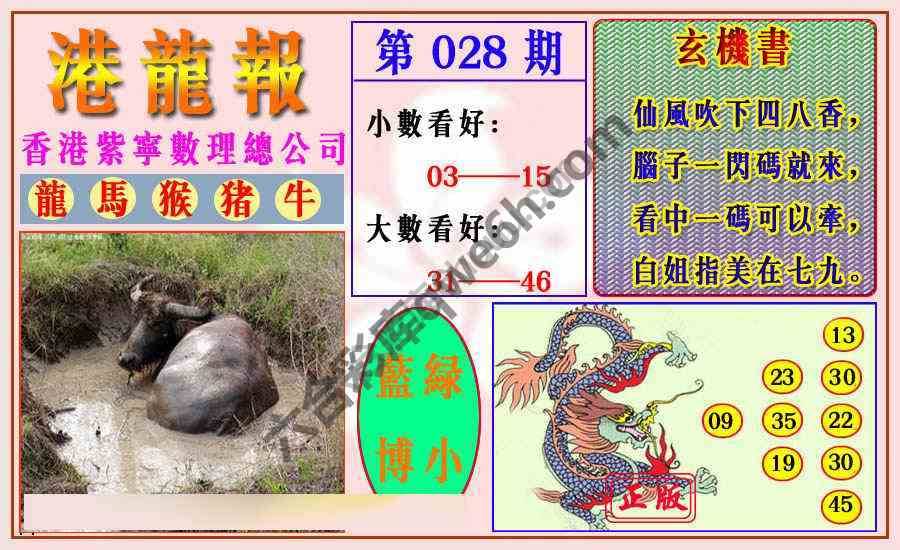 港龙报