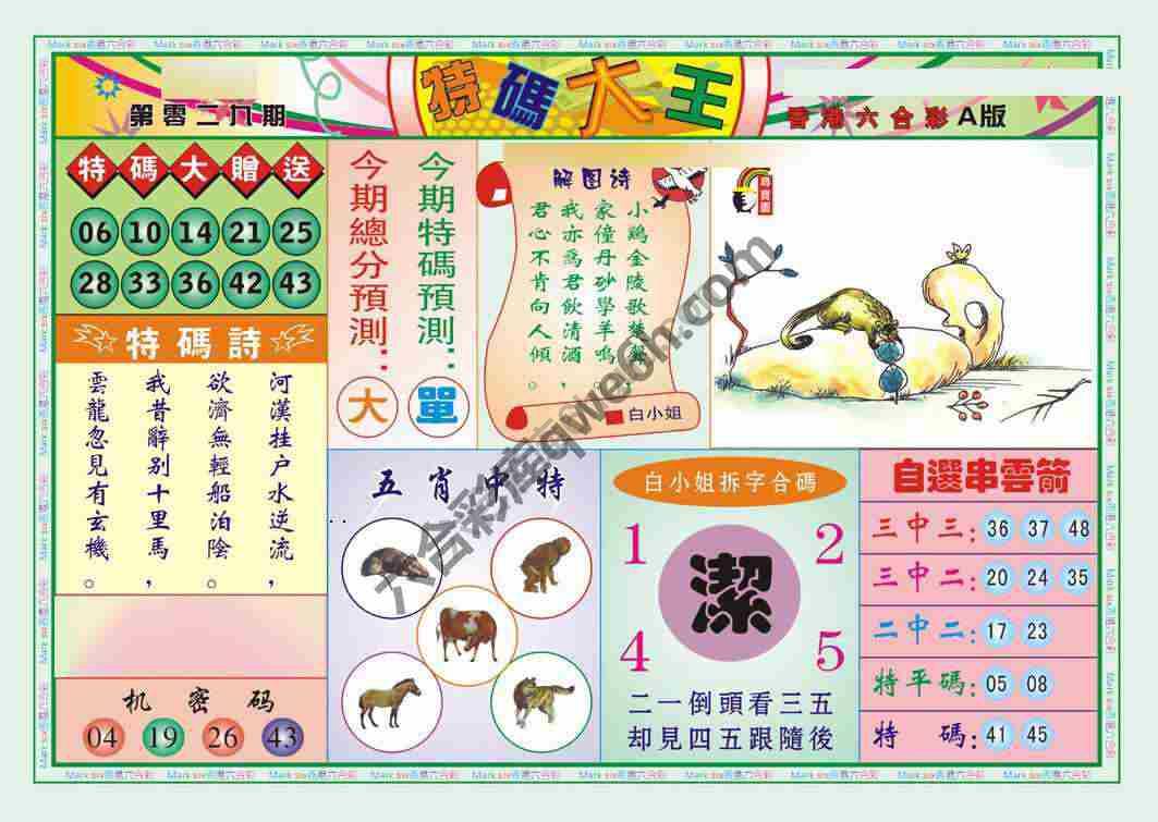 特码大王