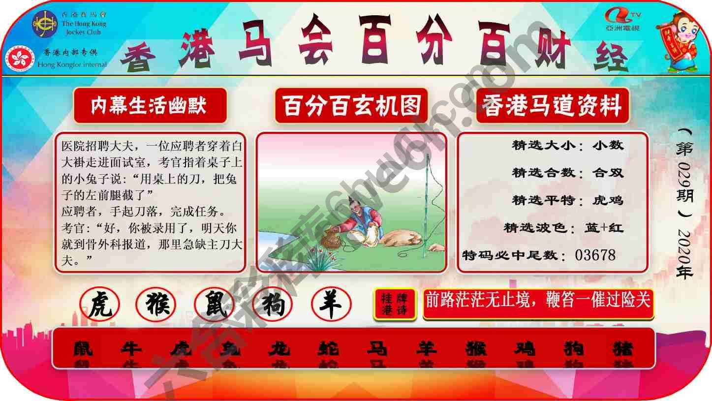 百分百财经