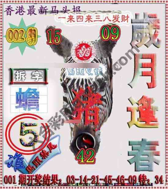 香港马头报