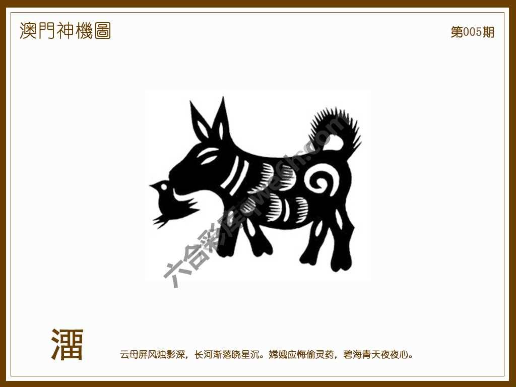 澳门神机图