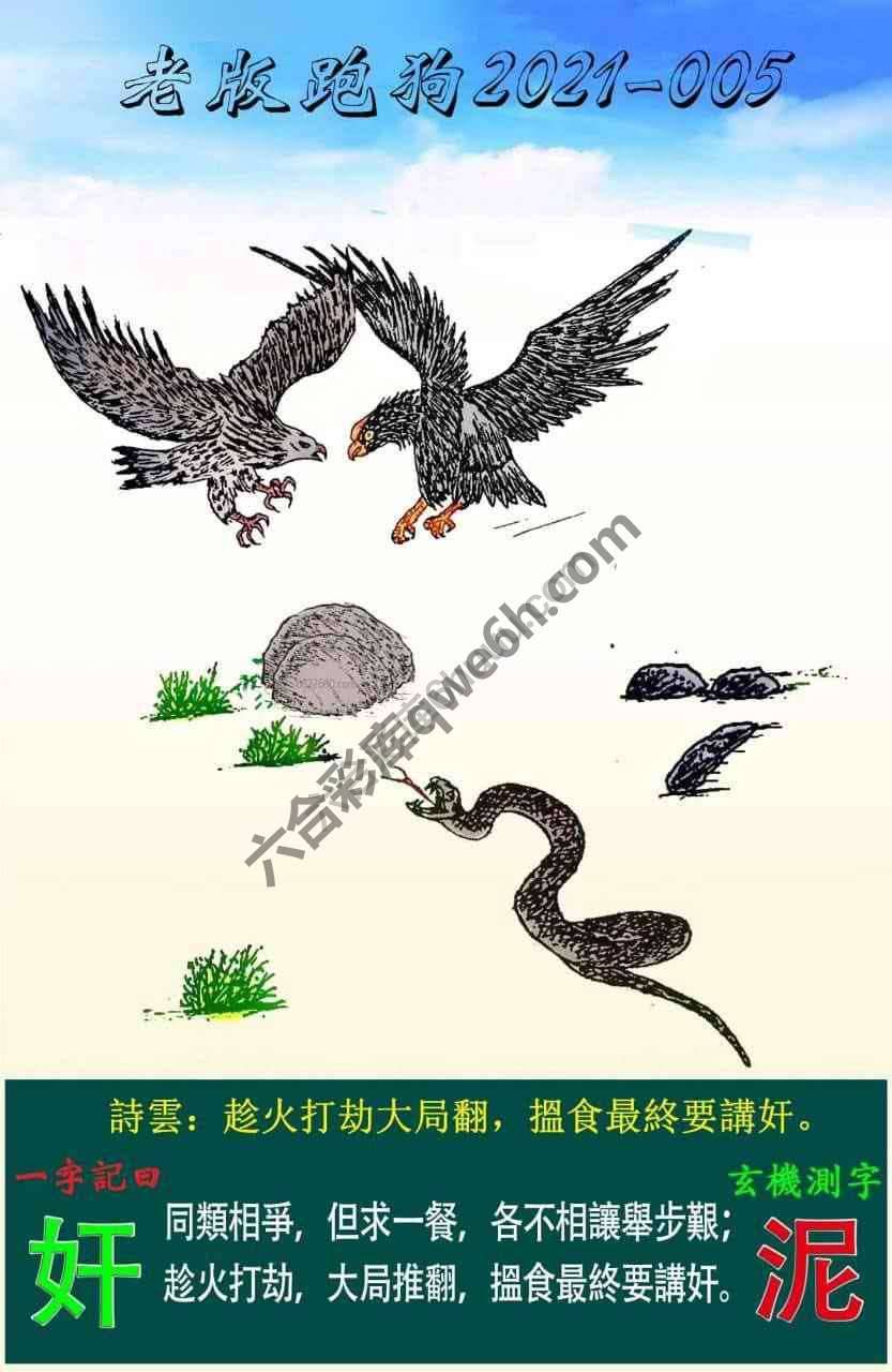 老版跑狗图