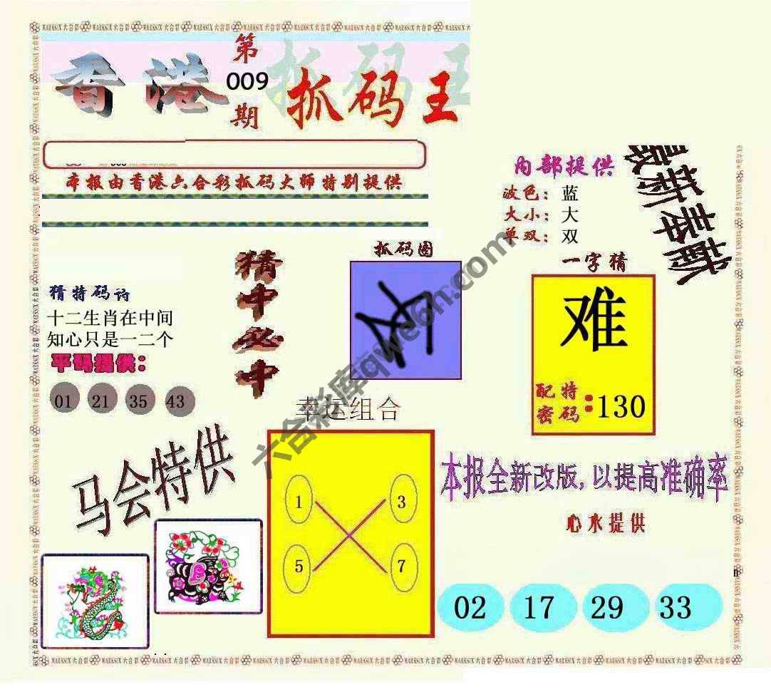 新抓码王
