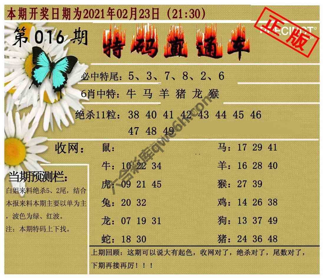 特码直通车