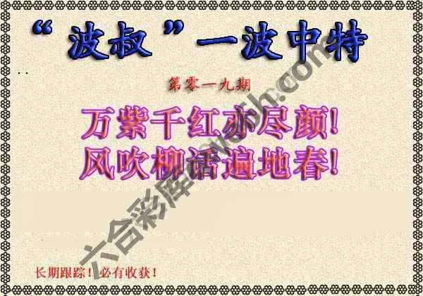 波叔一波中特