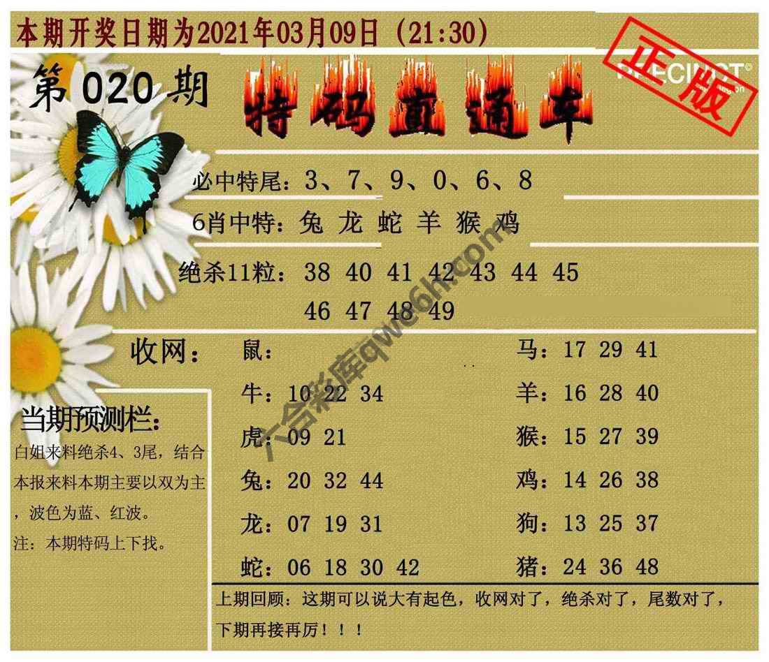 特码直通车