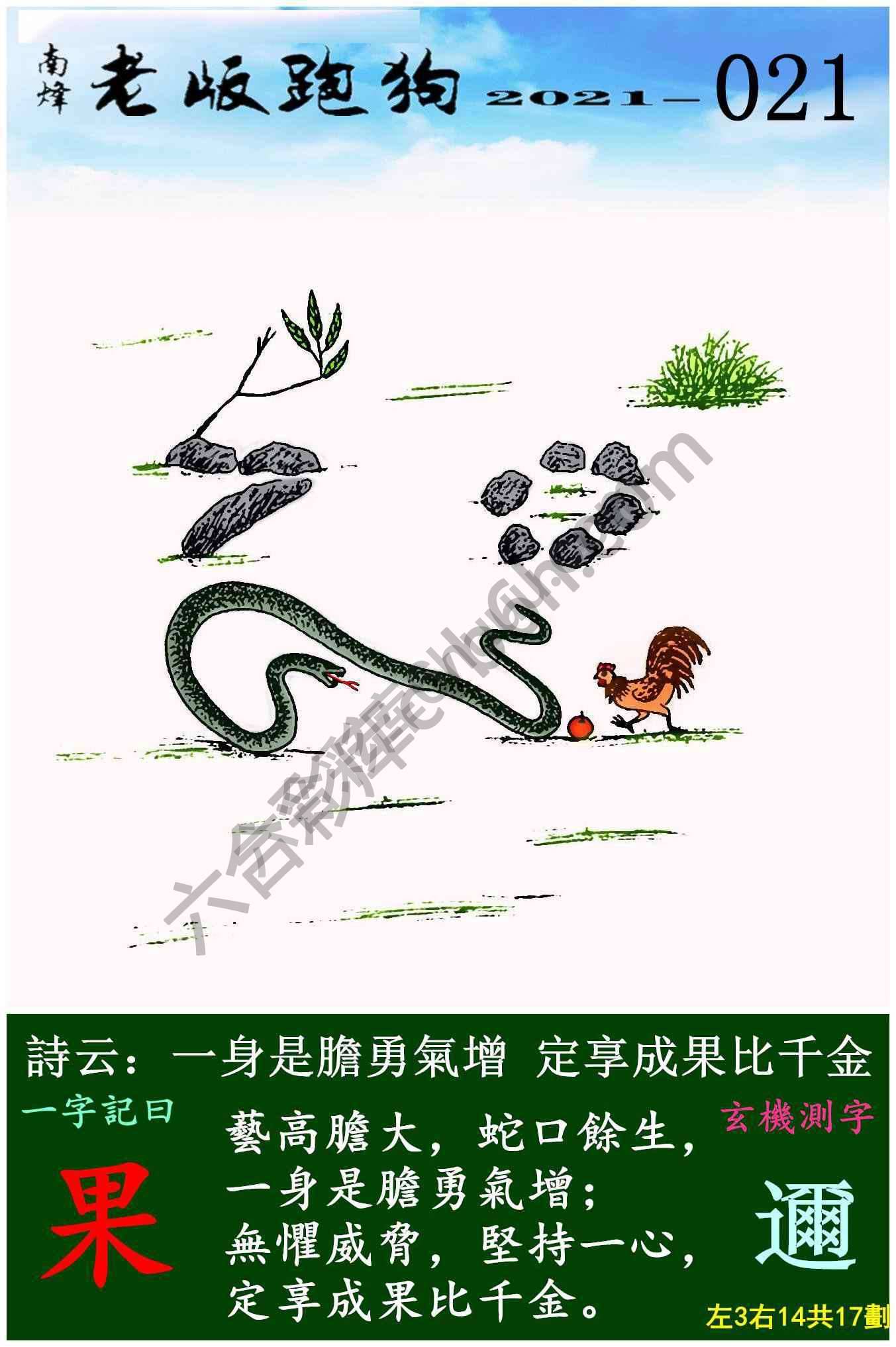 老版跑狗图