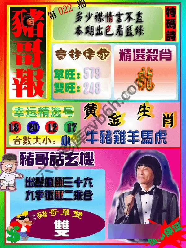 猪哥报