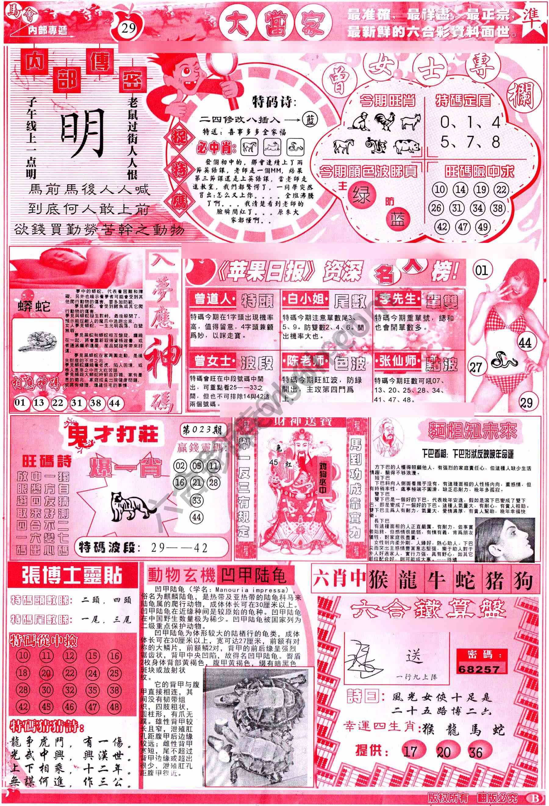 大当家
