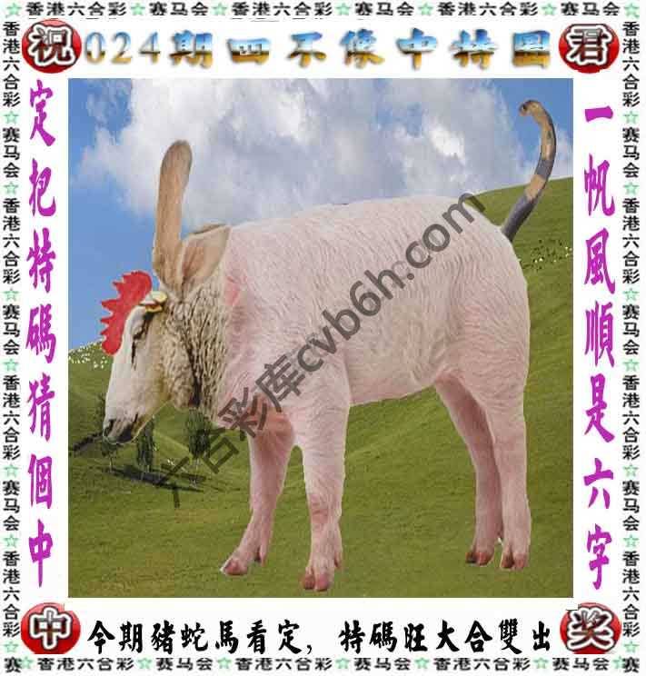 四不像中特图