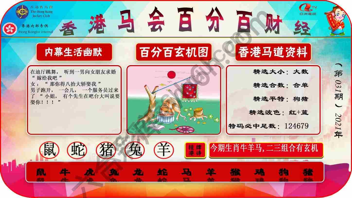 百分百财经