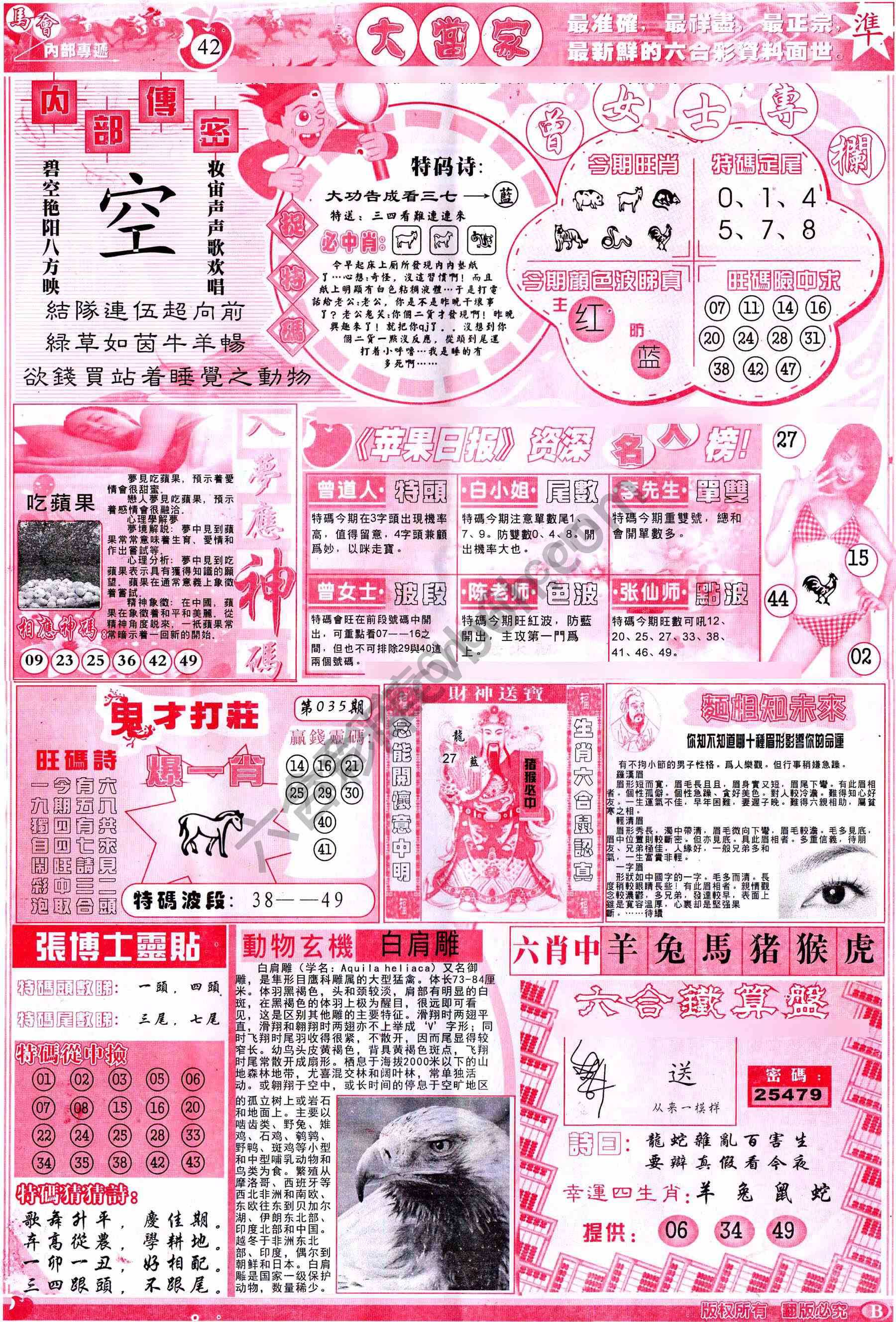 大当家