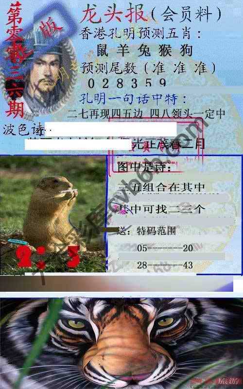 龙头报