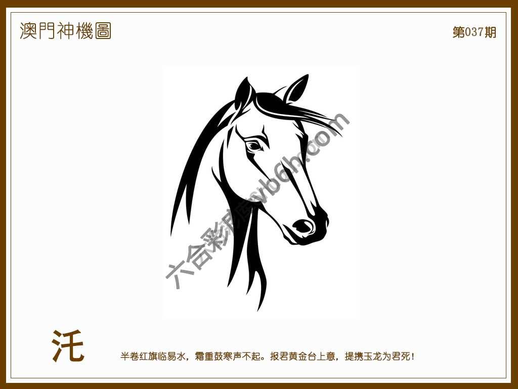澳门神机图