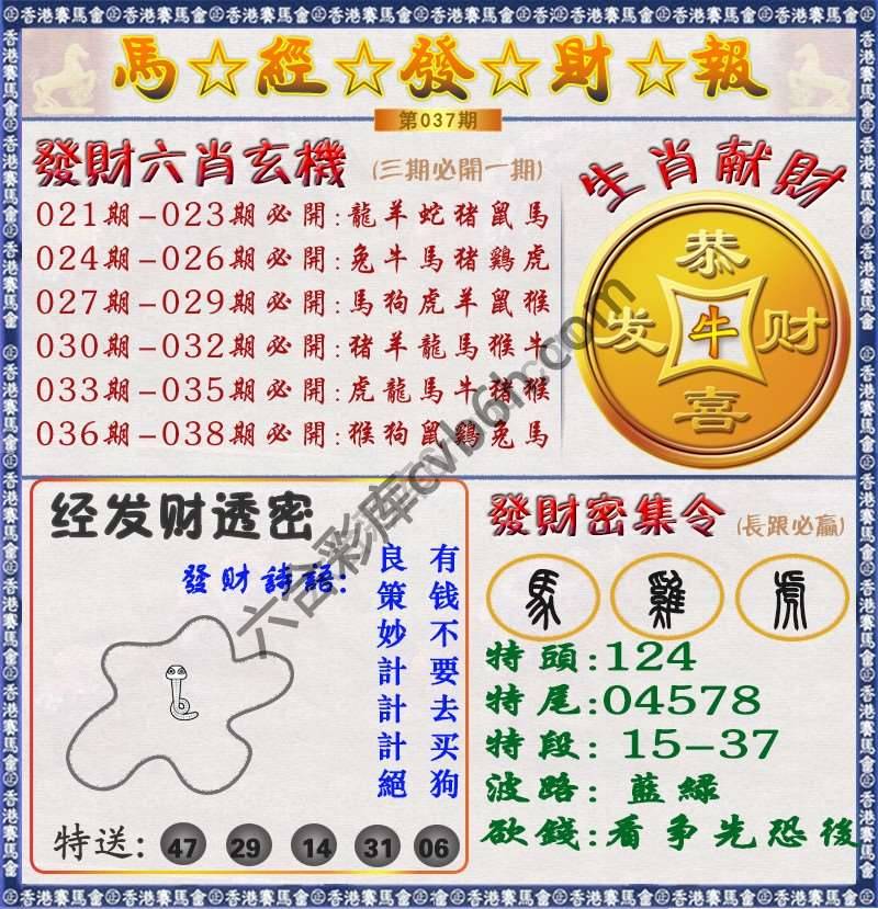 马经发财报