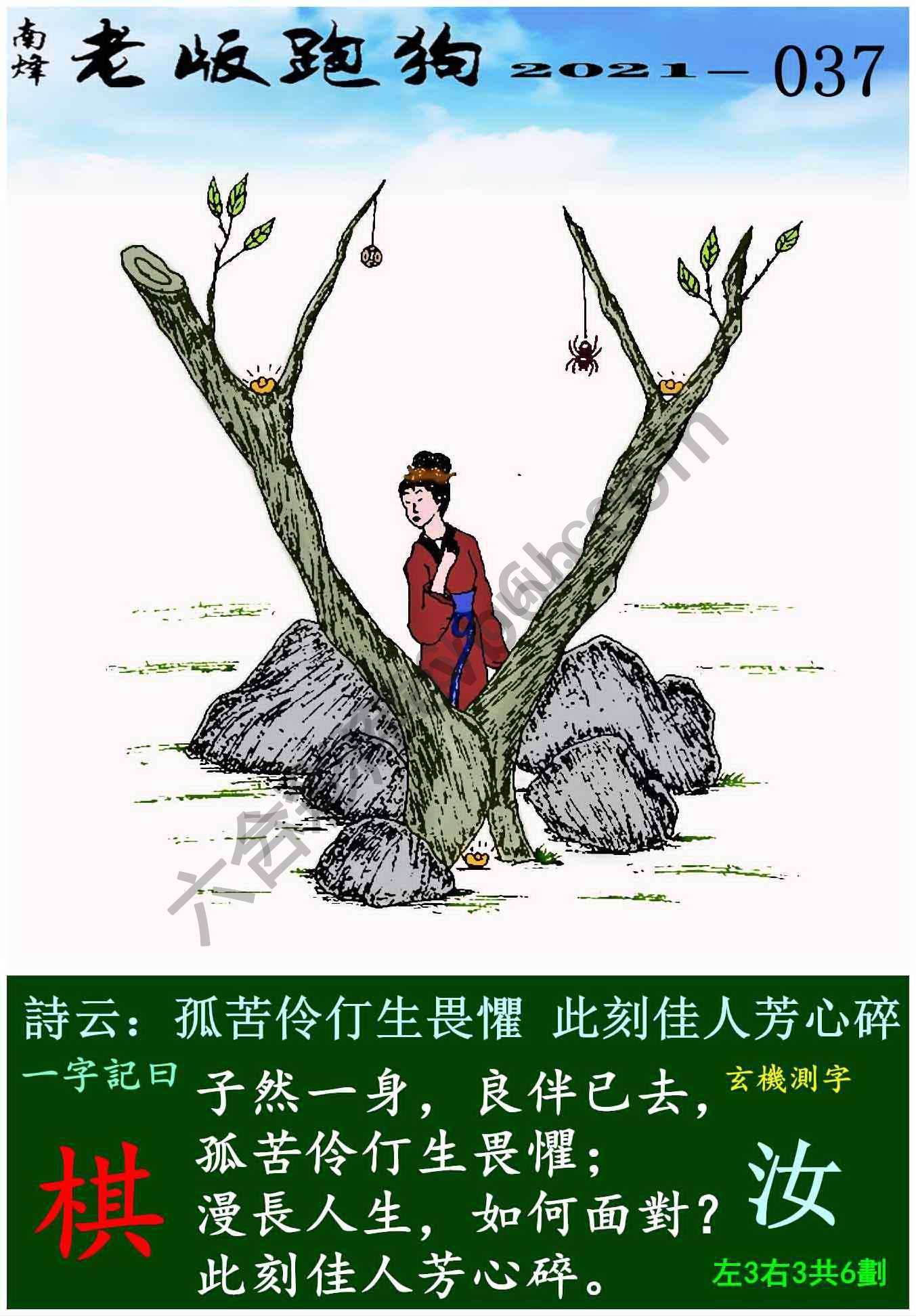 老版跑狗图