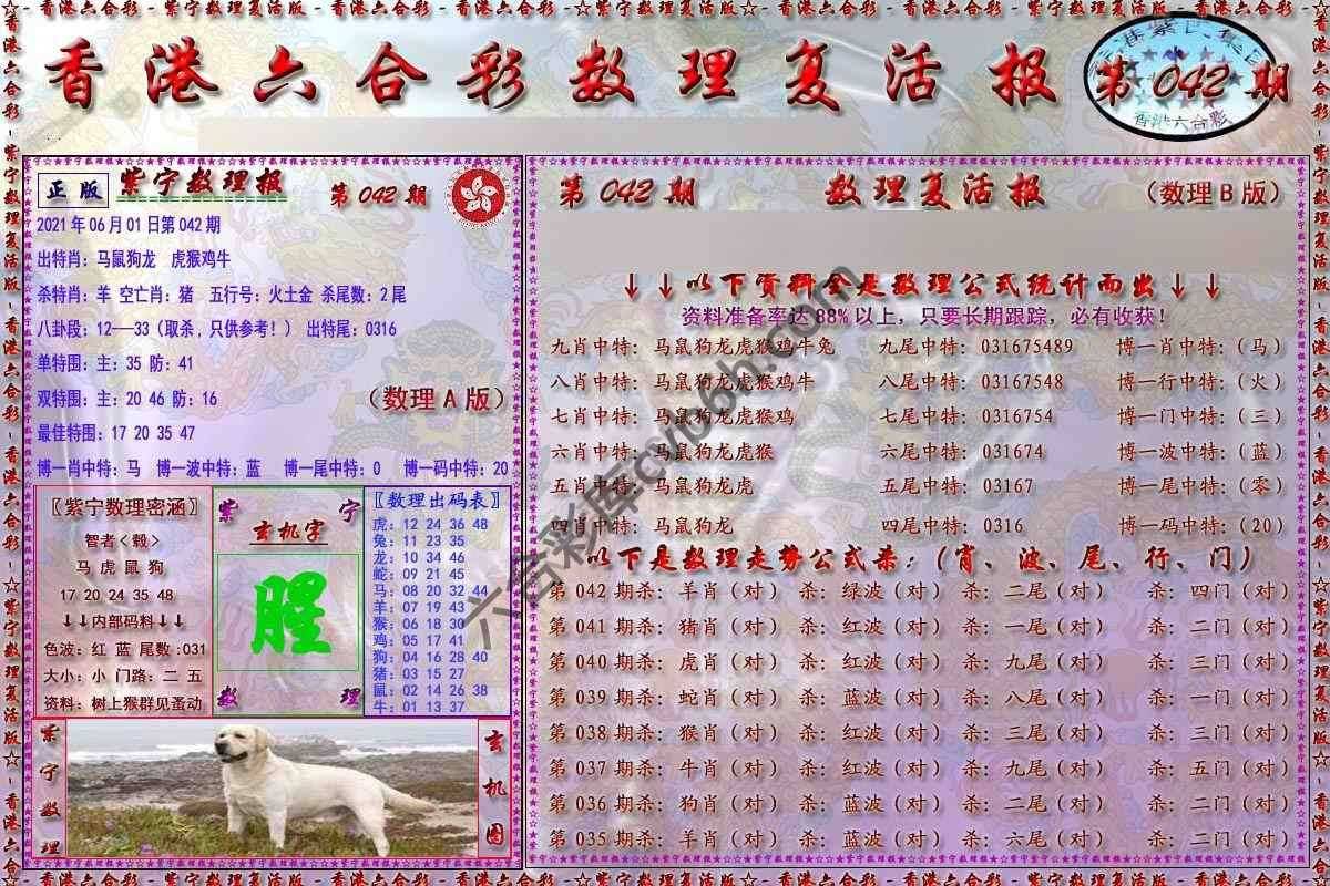 数理复活报