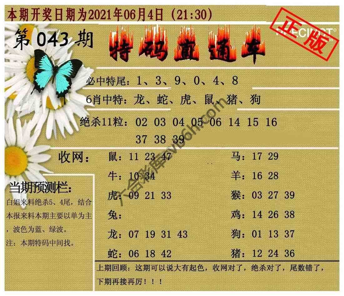 特码直通车