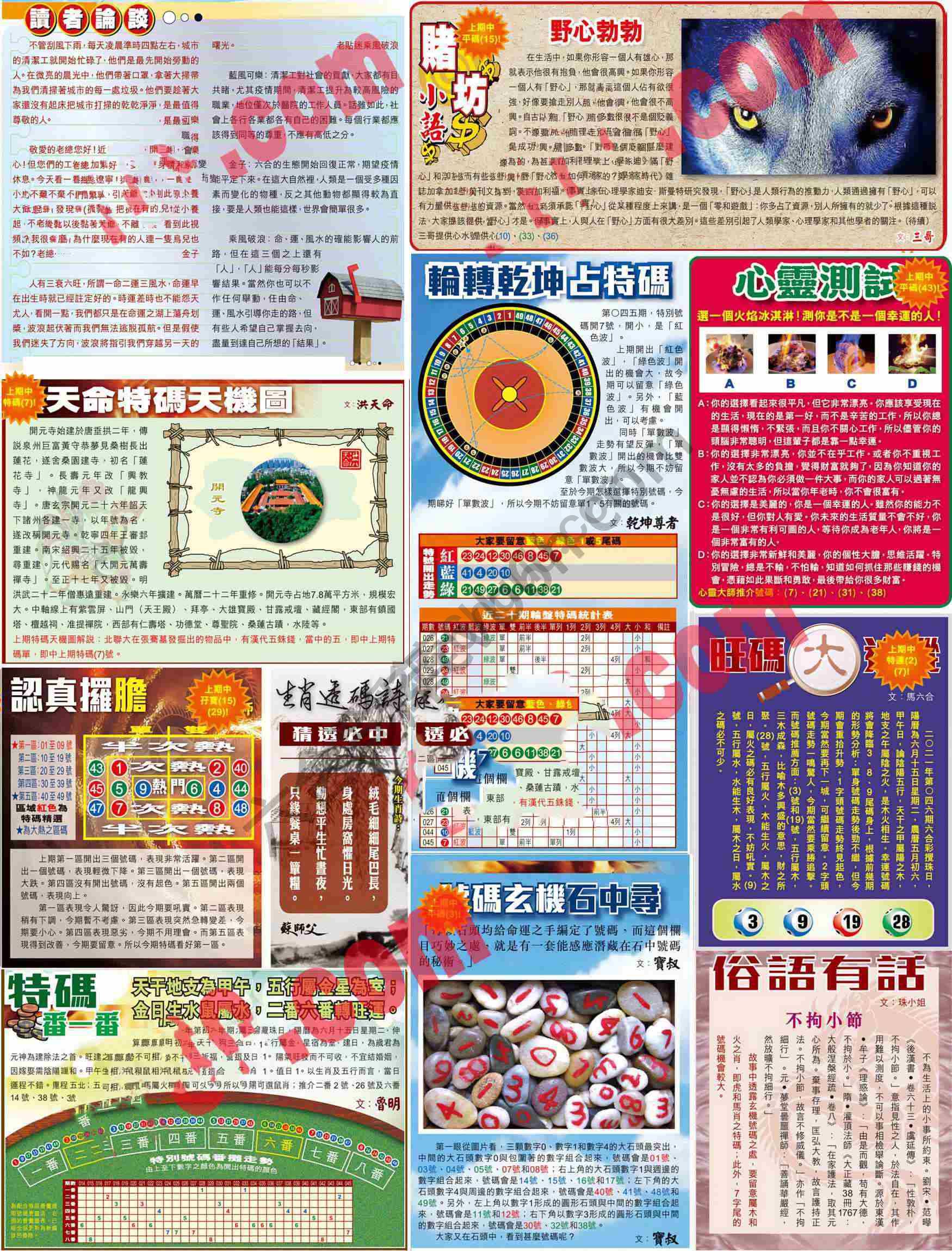 大版贴士皇