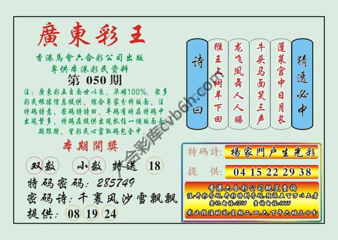 广东彩王