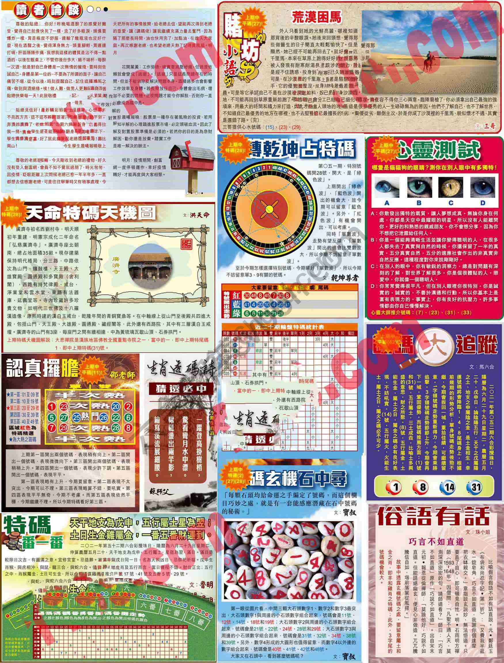 大版贴士皇