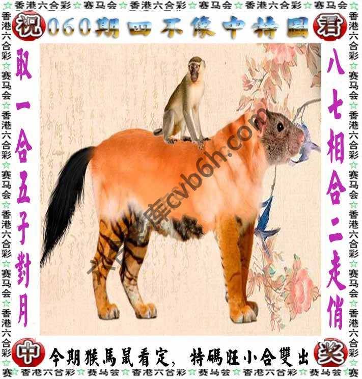 四不像中特图