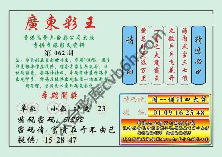 广东彩王