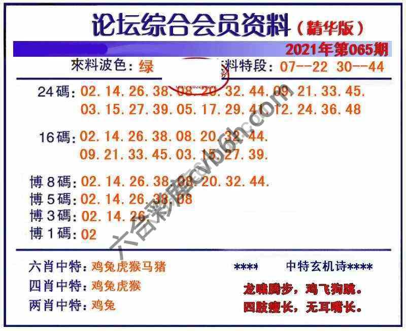 综合会员资料