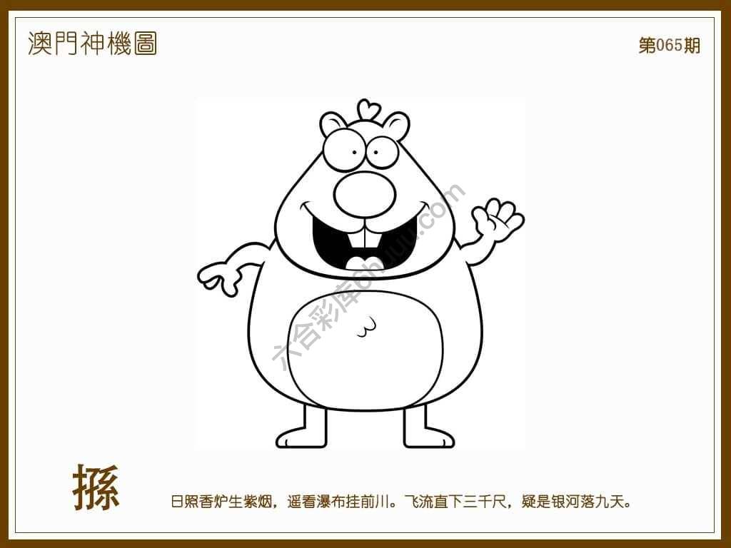 澳门神机图