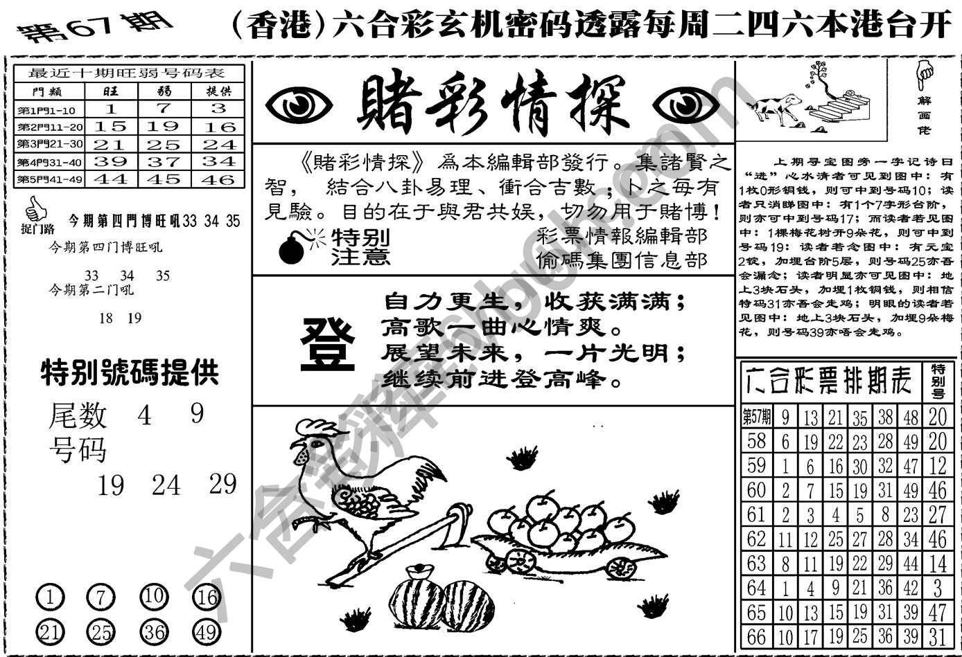 赌彩情探