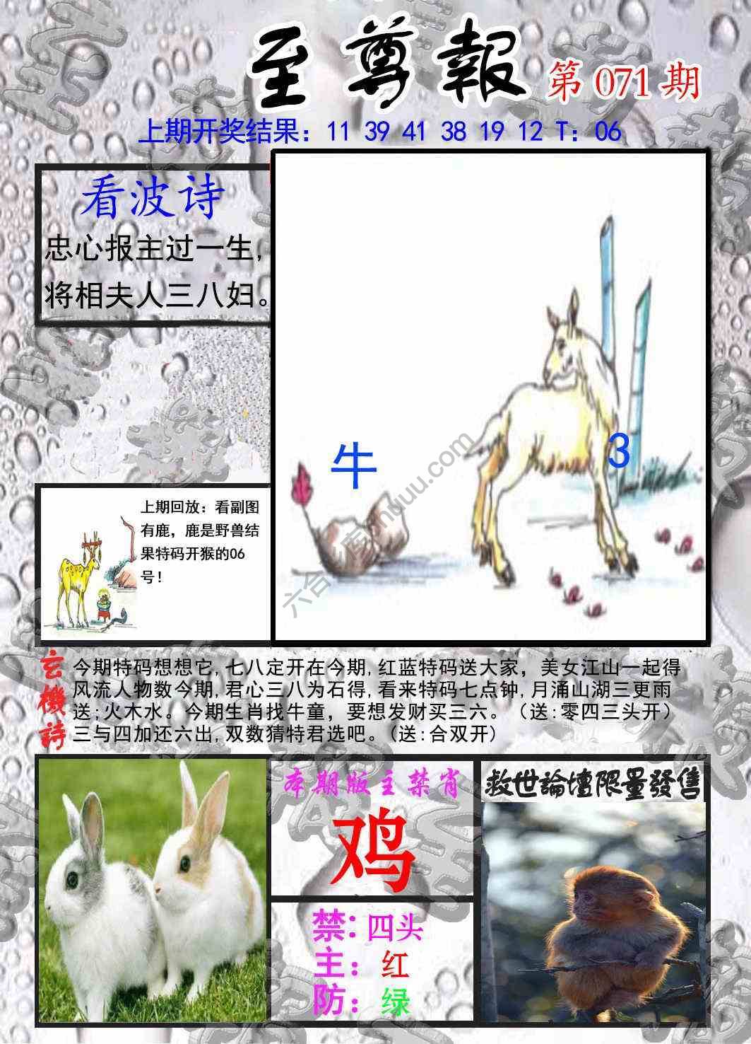 至尊报