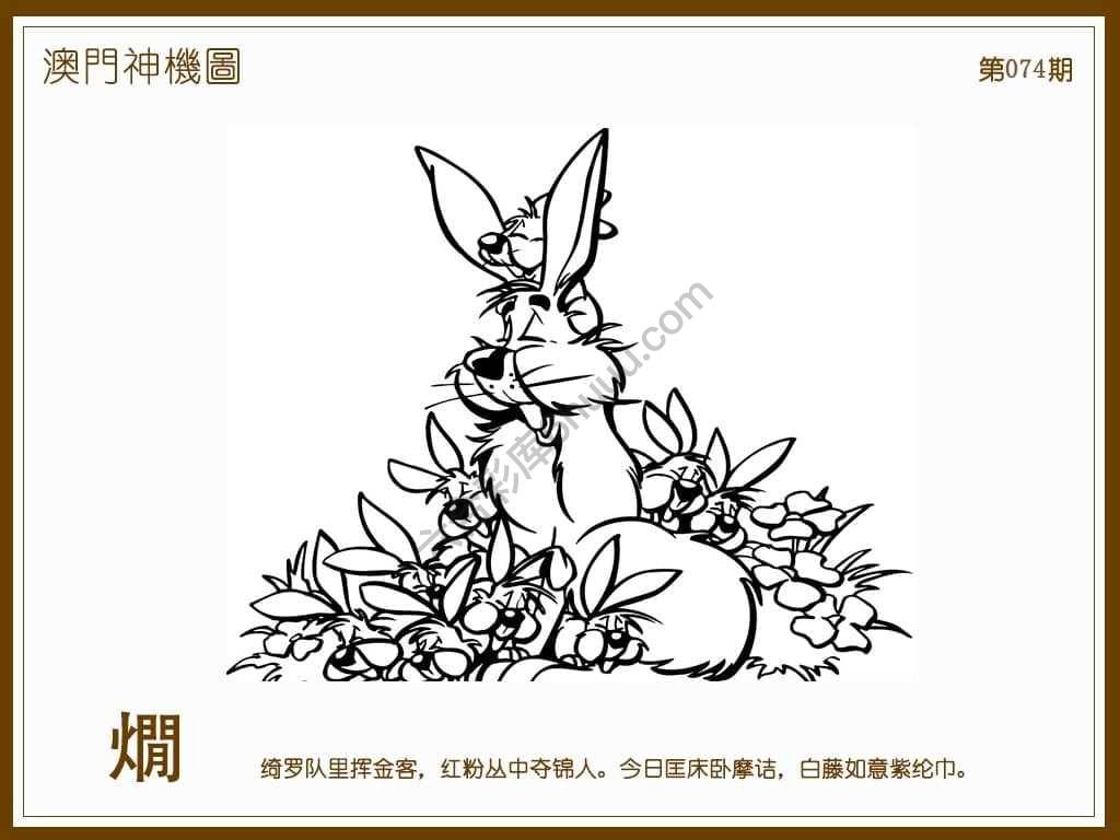 澳门神机图