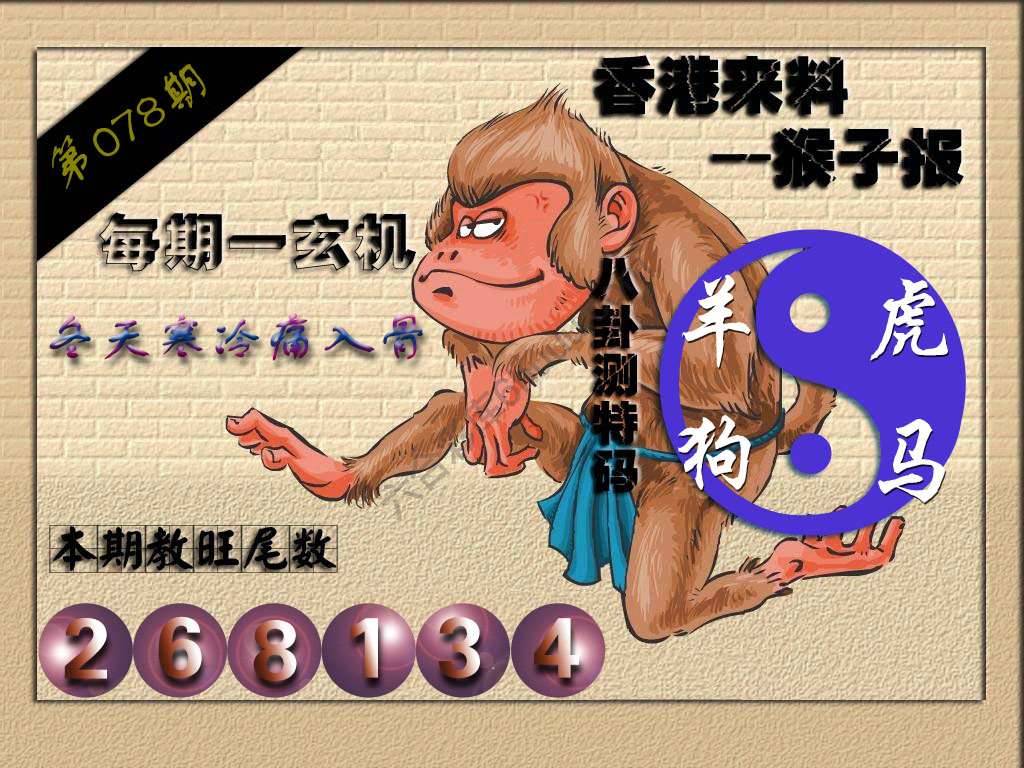 猴子报