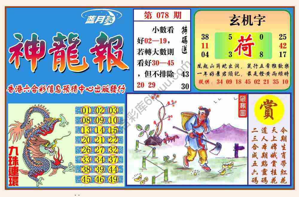 蓝月亮神龙报