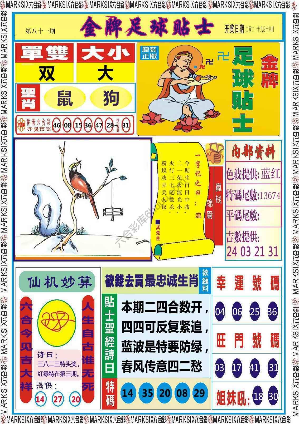 金牌足球贴士