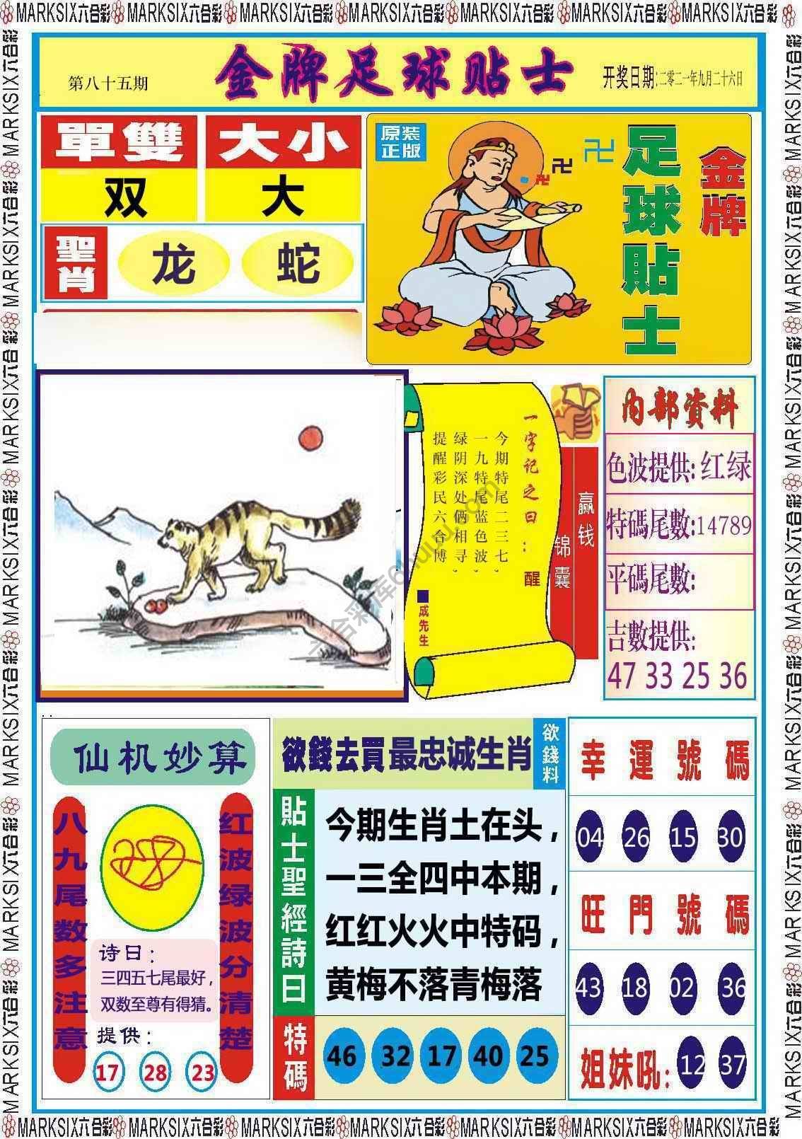 金牌足球贴士