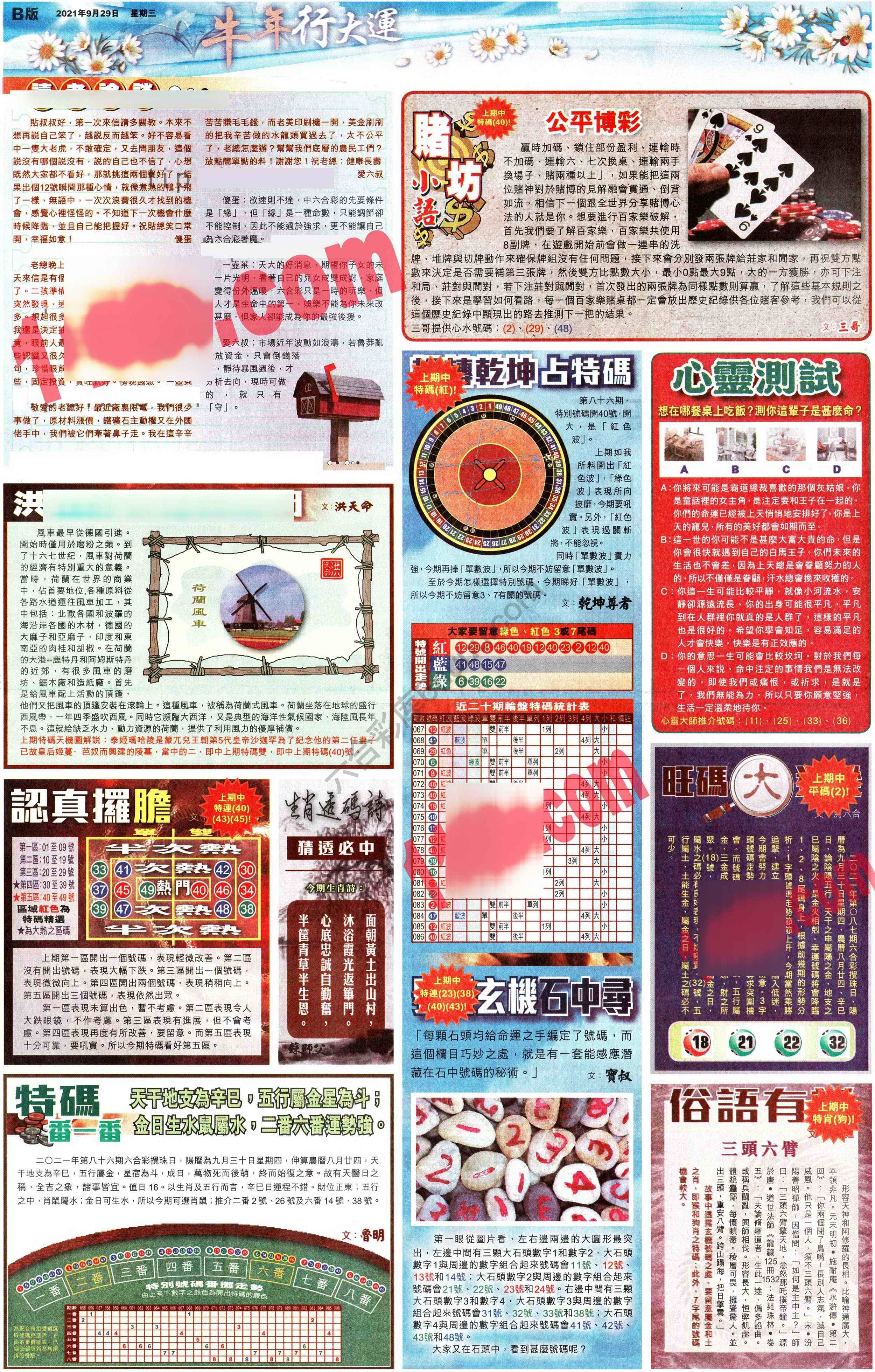 大版贴士皇