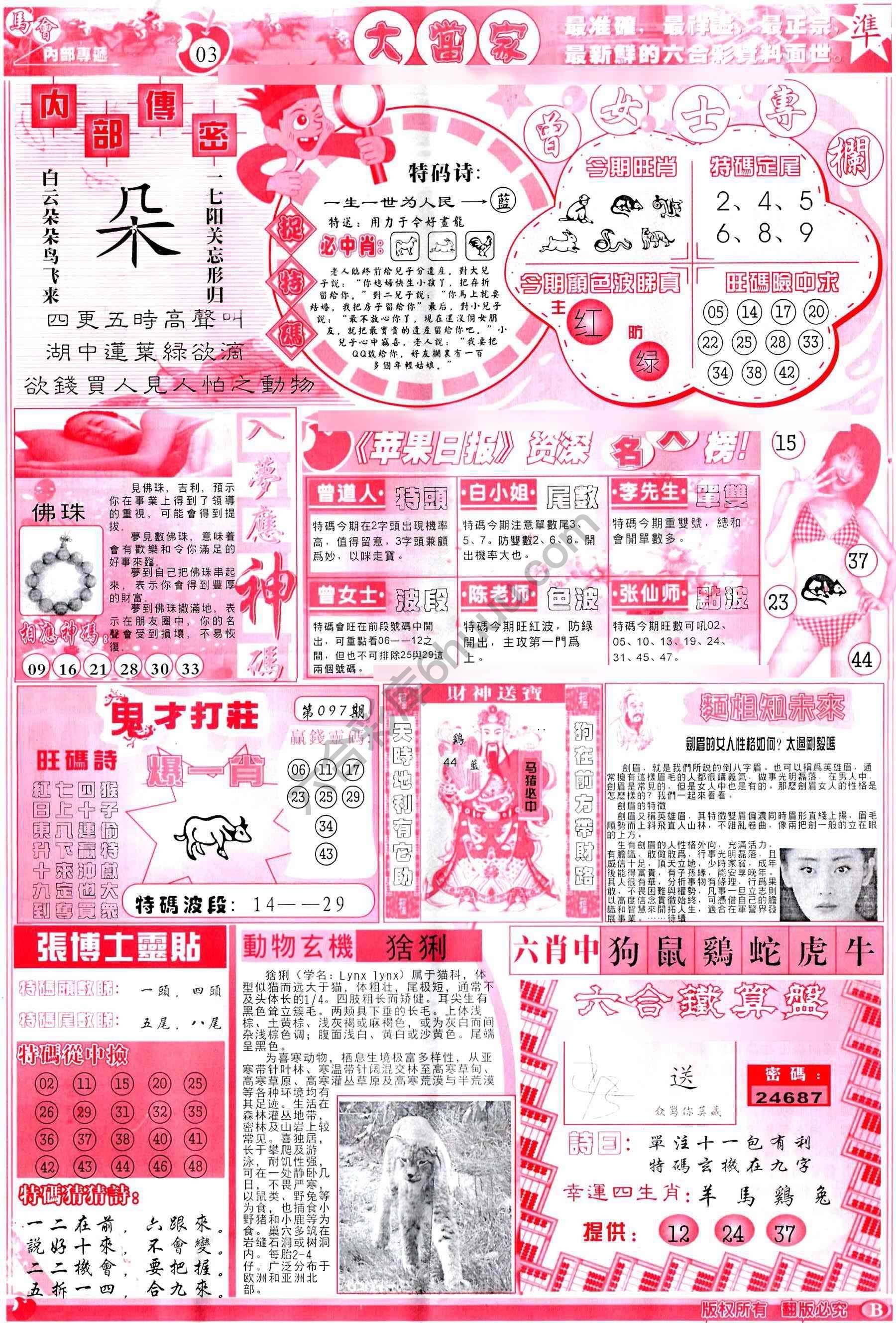 大当家
