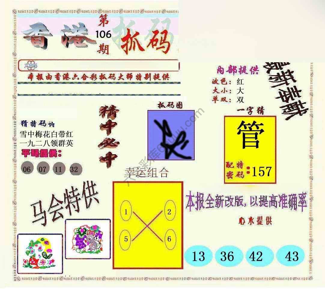 新抓码王