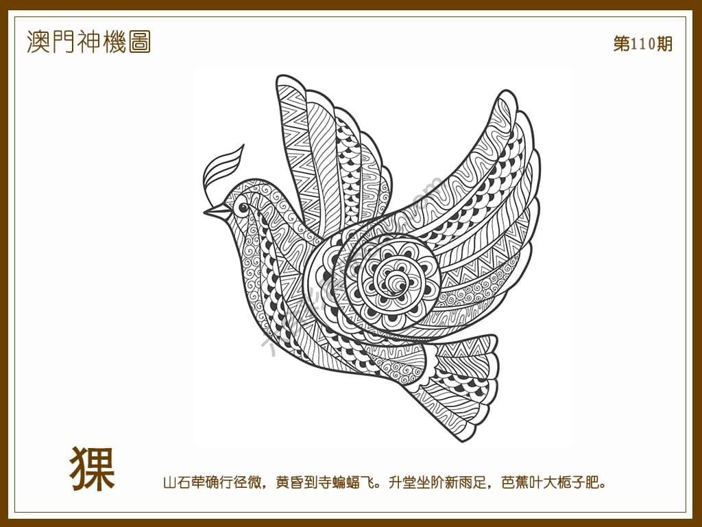 澳门神机图