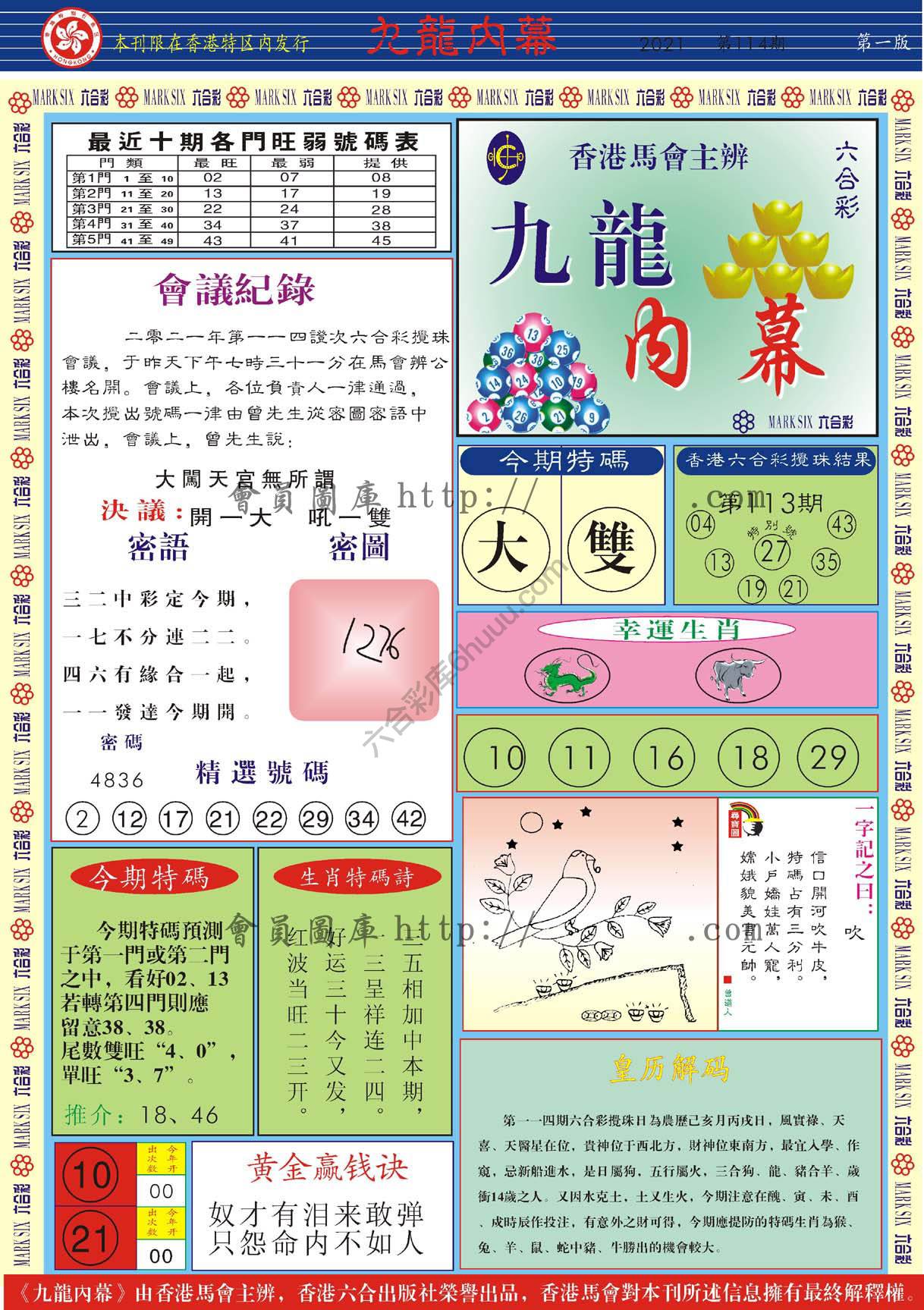 九龙内幕