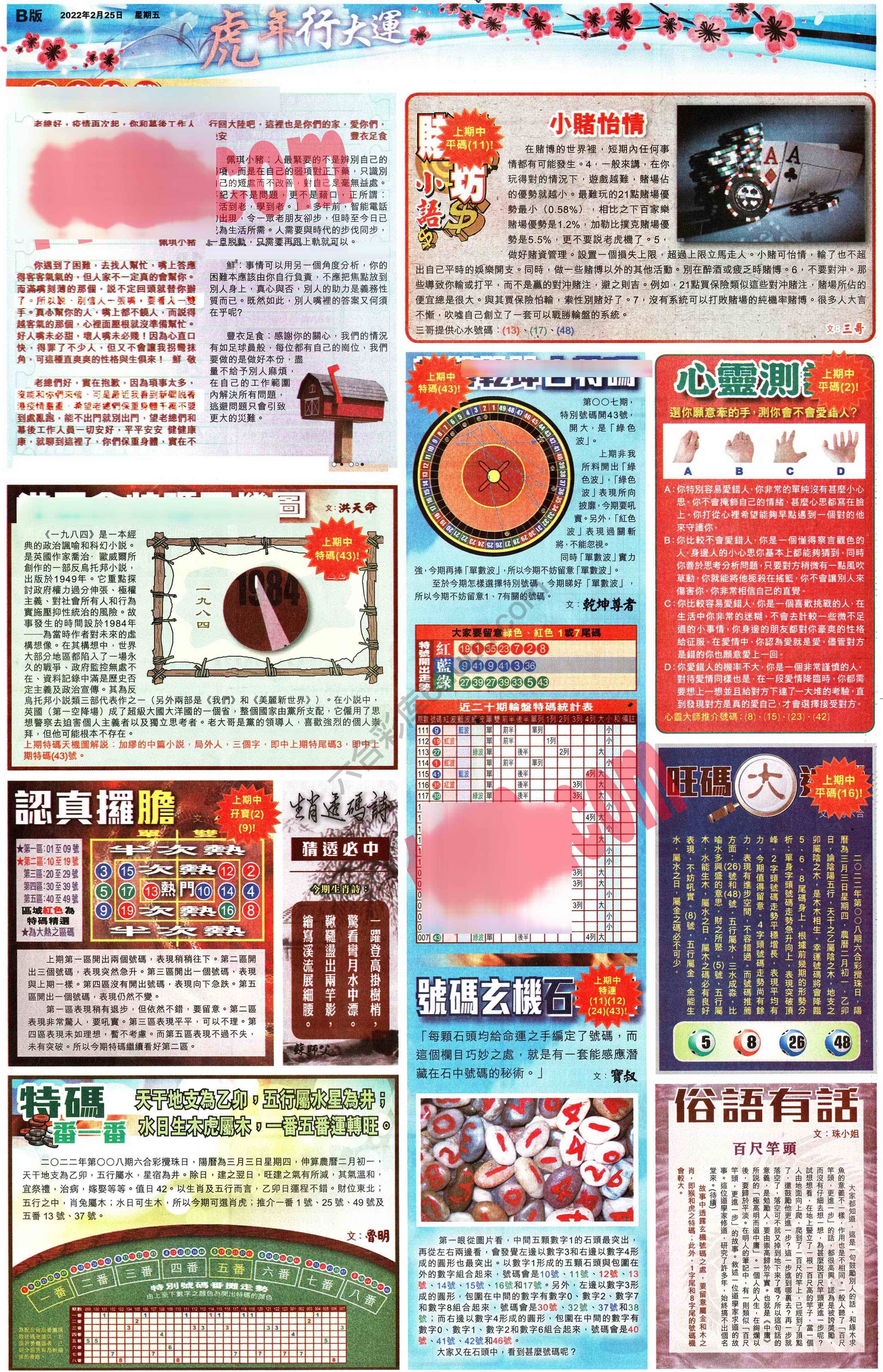 大版贴士皇