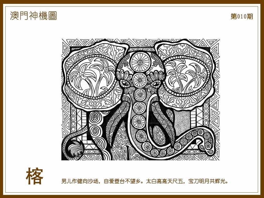 澳门神机图