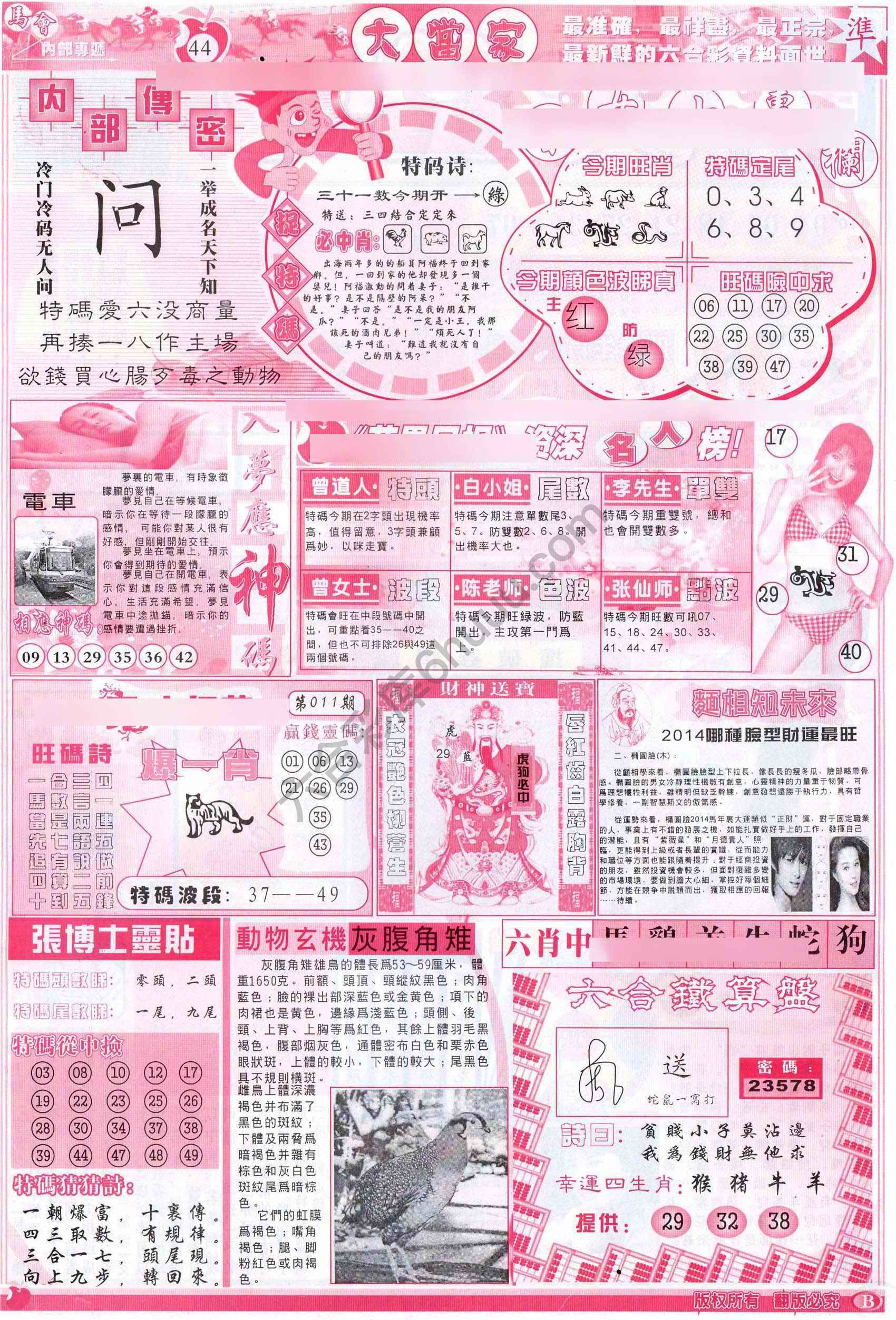 大当家