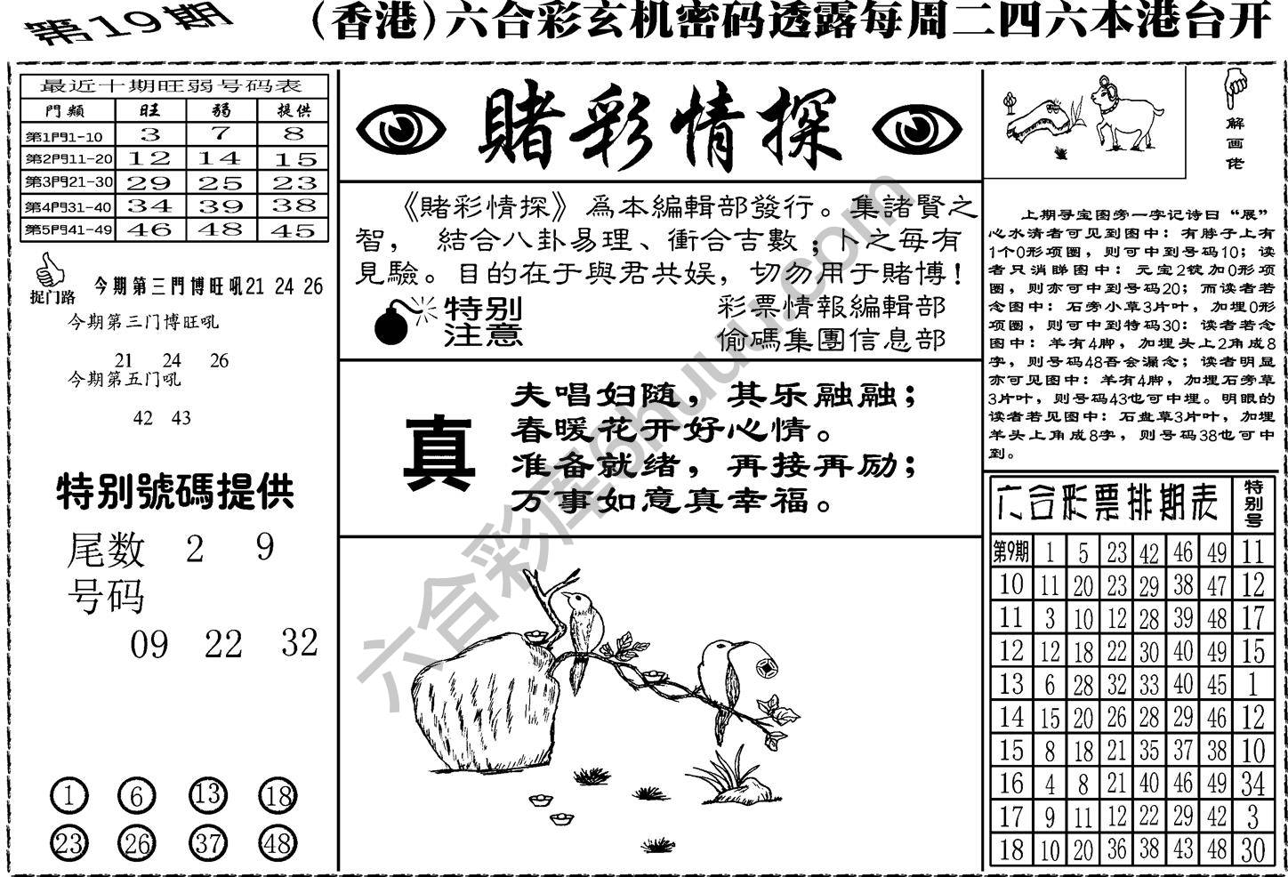 赌彩情探