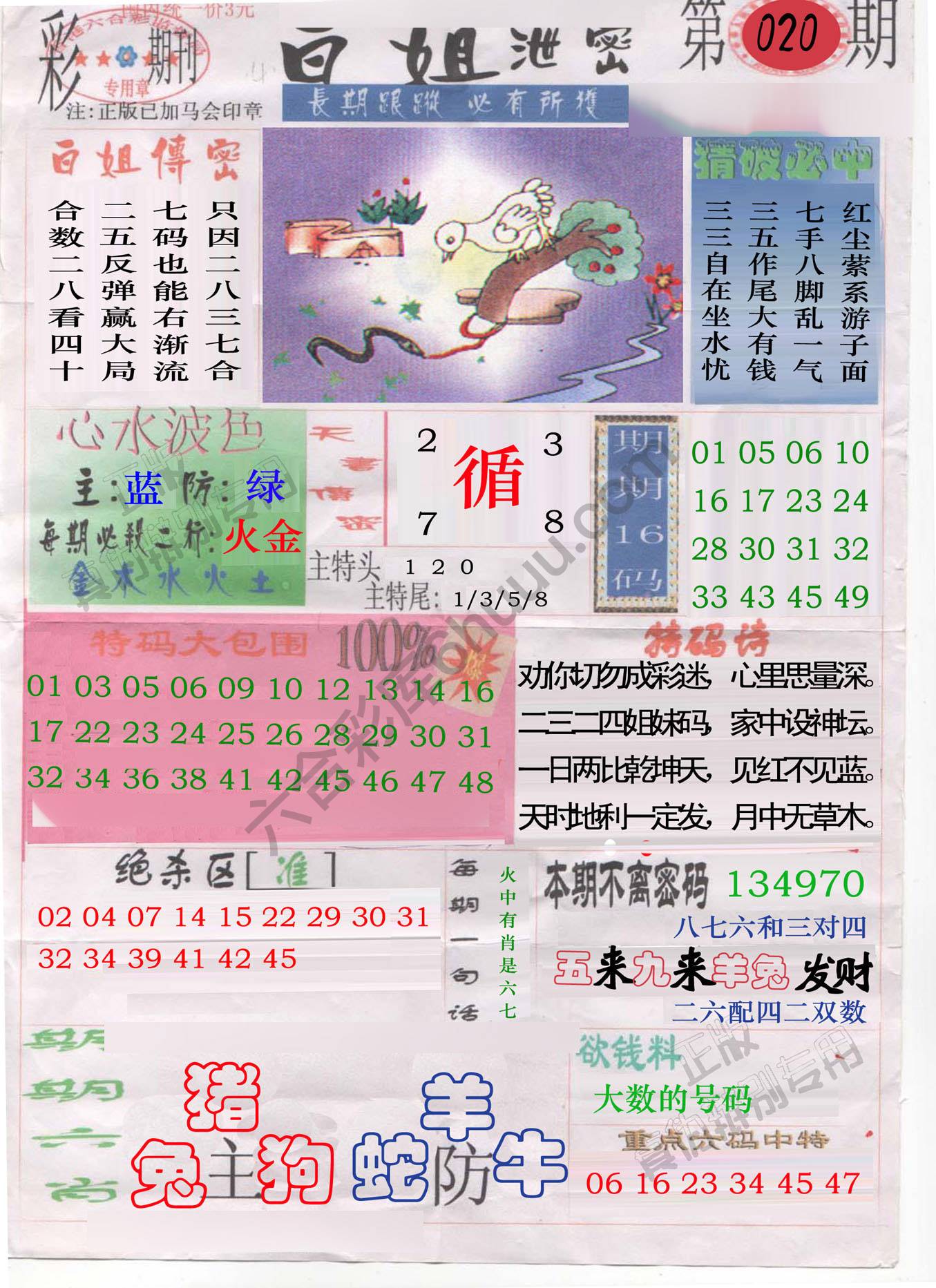 白姐泄密