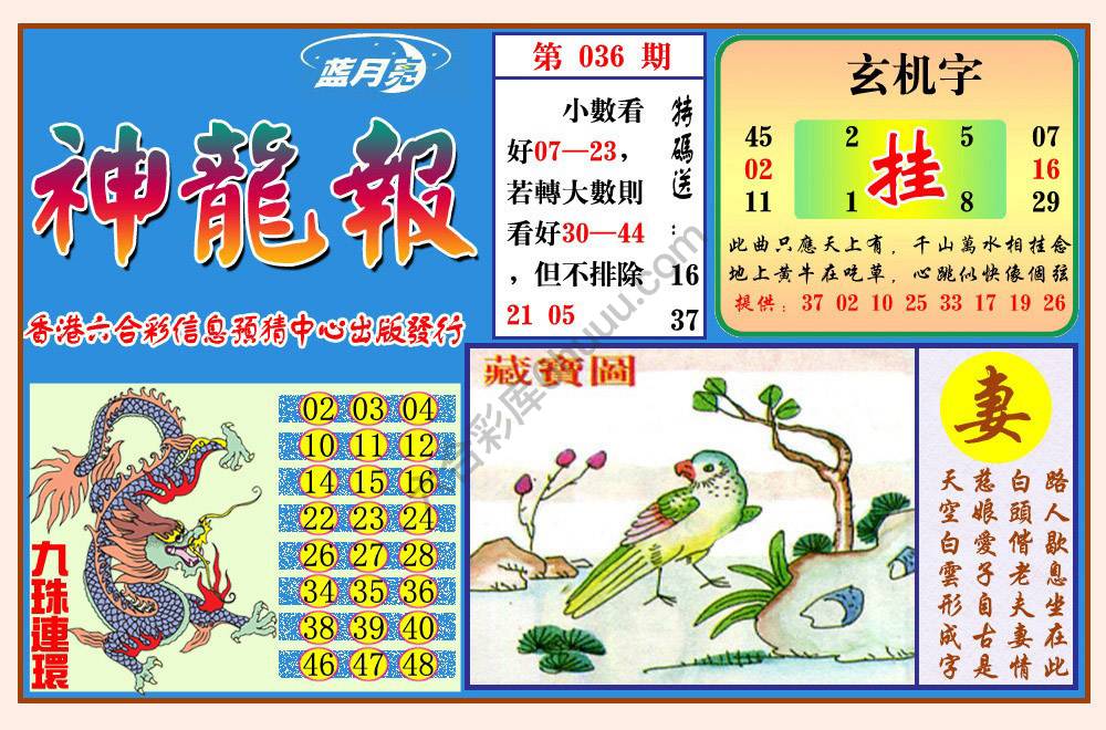 蓝月亮神龙报