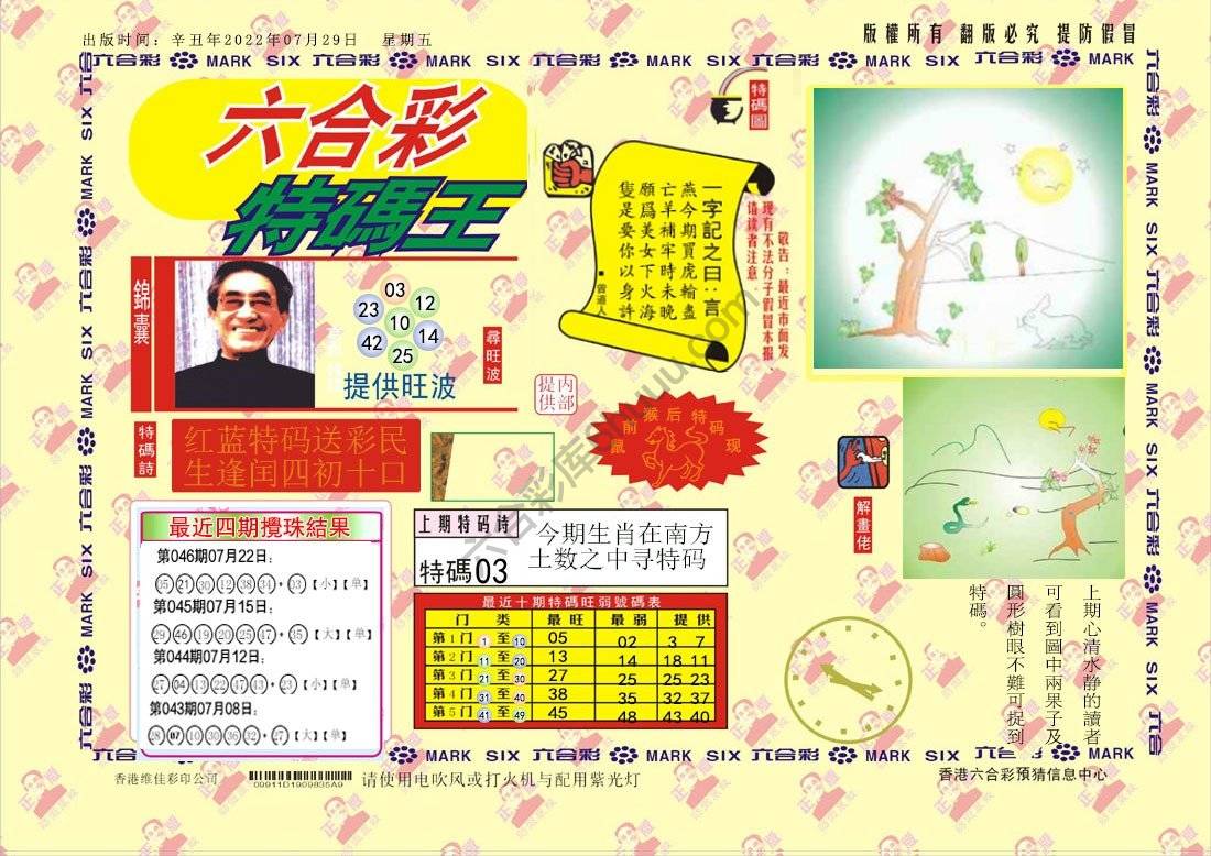 特码王