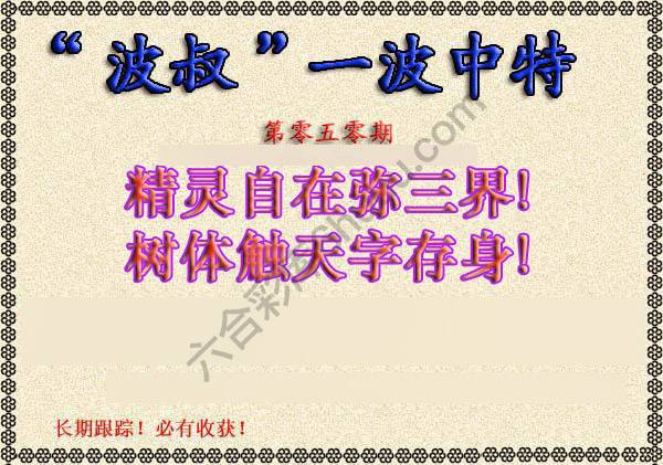 波叔一波中特