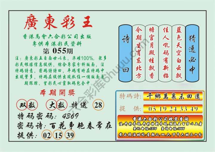 广东彩王